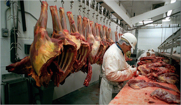 slaughter-butchering